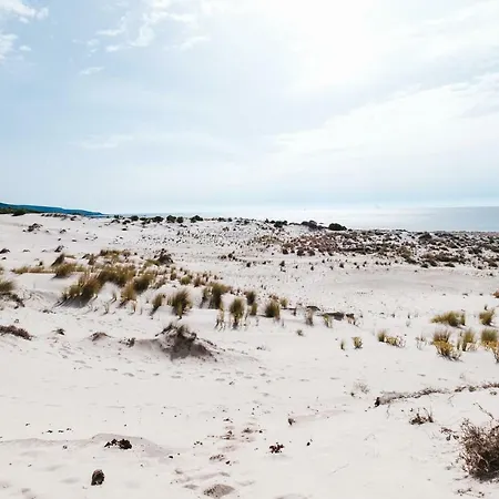 Sa Petra Ruja A 150mt Dal Mare Сasa de vacaciones Santa Lucia (Sardinia)